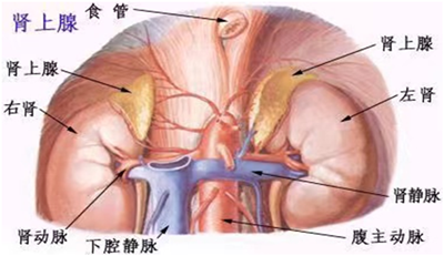 微信图片_20211124112543_副本.png