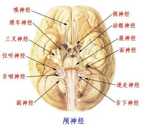 4_副本.jpg