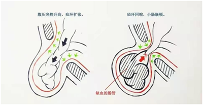 微信图片_202203291513433_副本.png