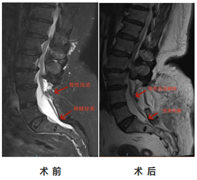 搜狗高速浏览器截图20240117095028.png